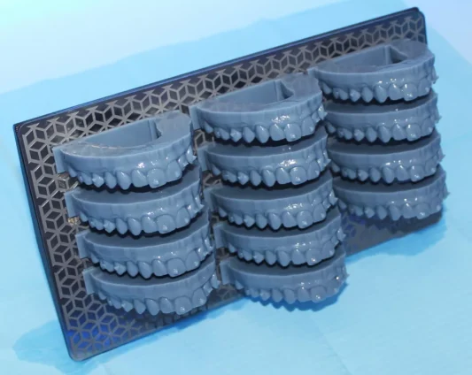 3D MODEL REÇİNE - Görsel 4