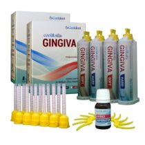 Gingiva Diş eti - cooldent